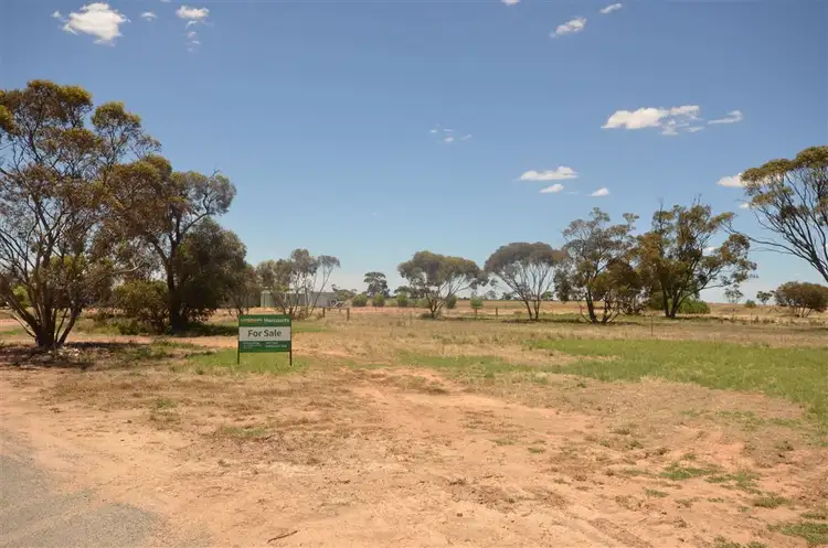 11 Hylton Avenue, Pinnaroo SA 5304