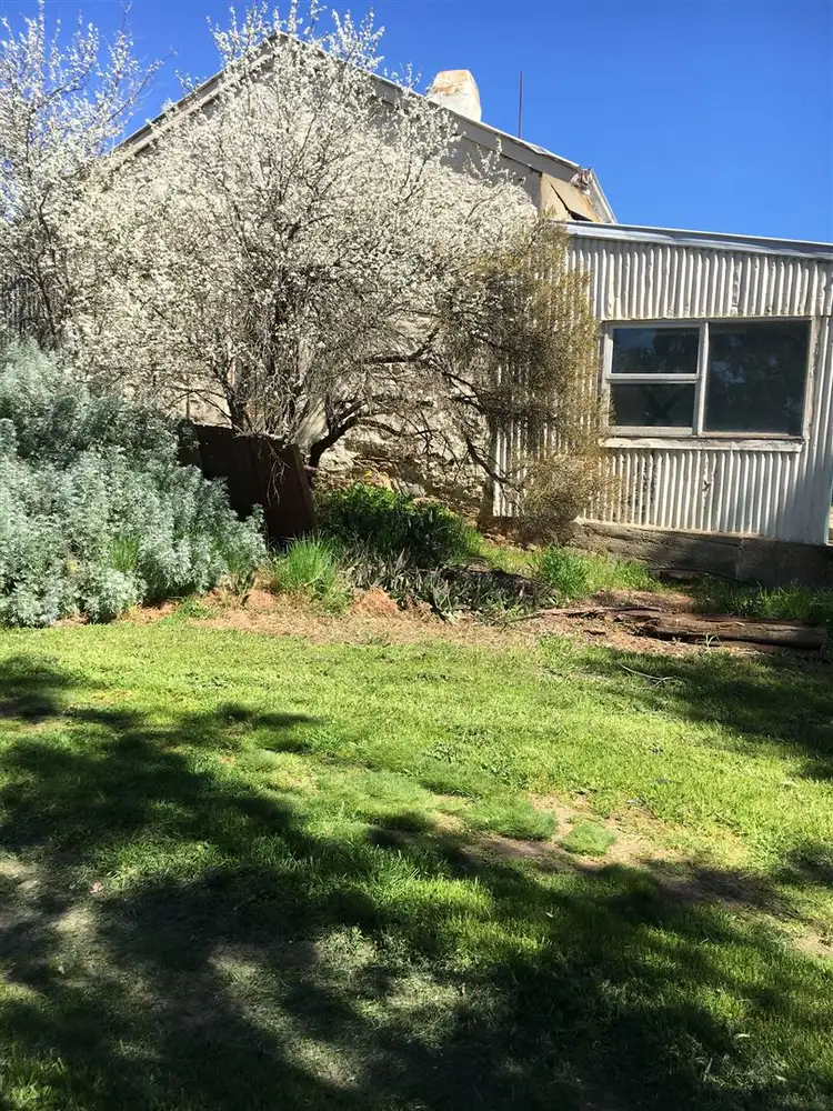 Main view of Homely rural property listing, 31 Mine Street, Clare SA 5453