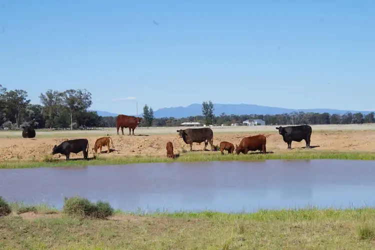 397 Glenwood Lane, Narrabri NSW 2390