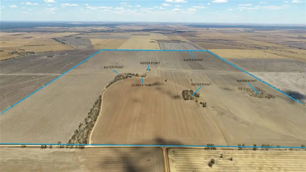 Main view of Homely rural property listing, 298 Talbots Road, Hopetoun VIC 3396
