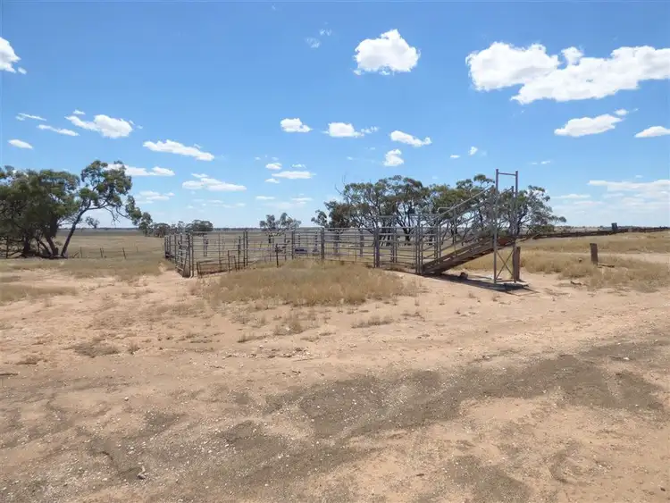 Seventh view of Homely rural property listing, 298 Talbots Road, Hopetoun VIC 3396