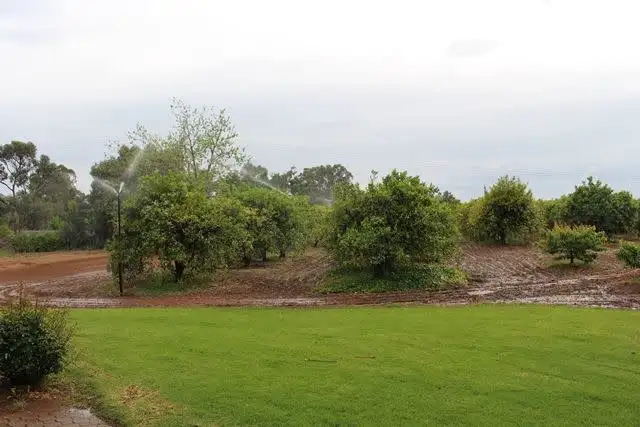 Fourth view of Homely land listing, 6 Wilga Road South, Gol Gol NSW 2738