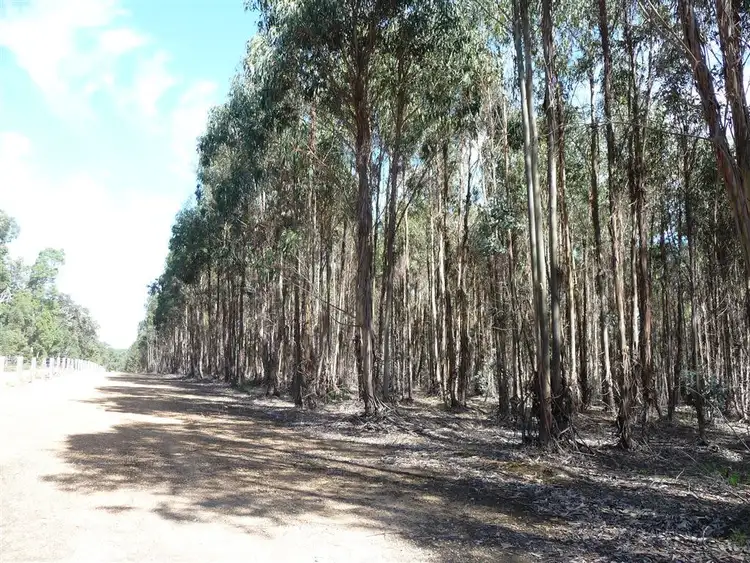Second view of Homely rural property listing, ' Booths', Manjimup WA 6258