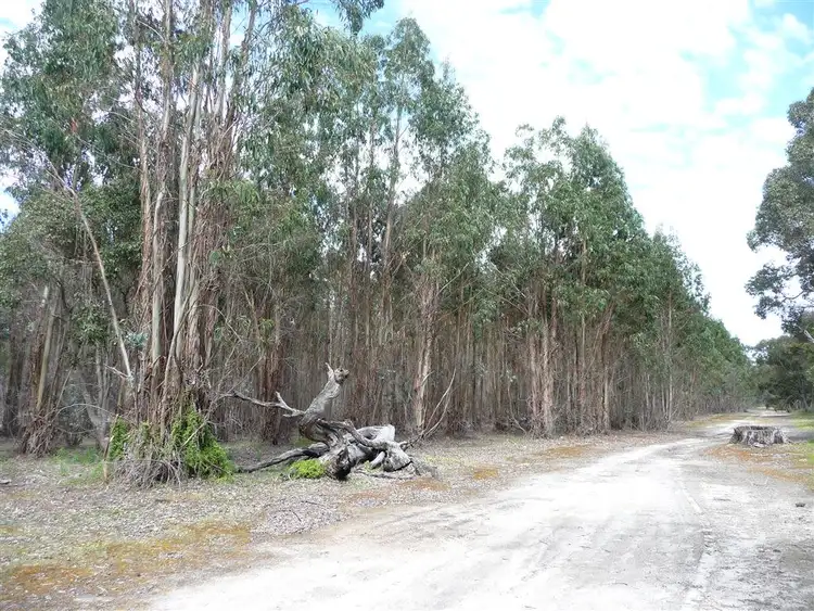 Third view of Homely rural property listing, ' Booths', Manjimup WA 6258