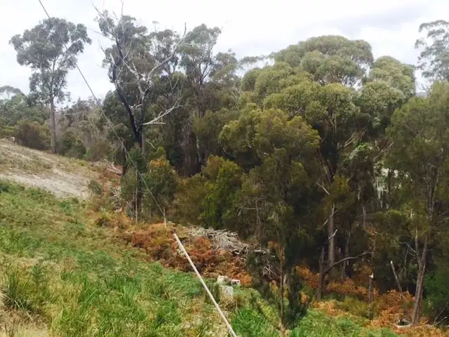 Fifth view of Homely land listing, 2131346 Talbot Street, Stieglitz TAS 7216