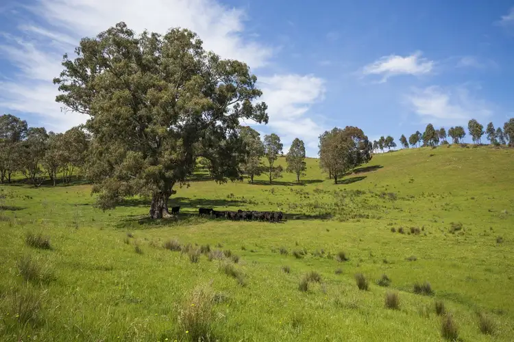 Second view of Homely rural property listing, 6931 Goulburn Valley, Yea VIC 3717