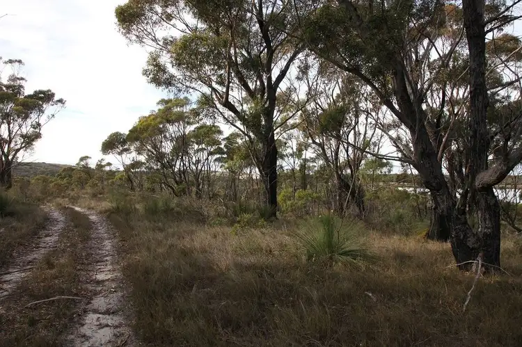 Sixth view of Homely land listing, 24752 Tasman Highway, St Helens TAS 7216