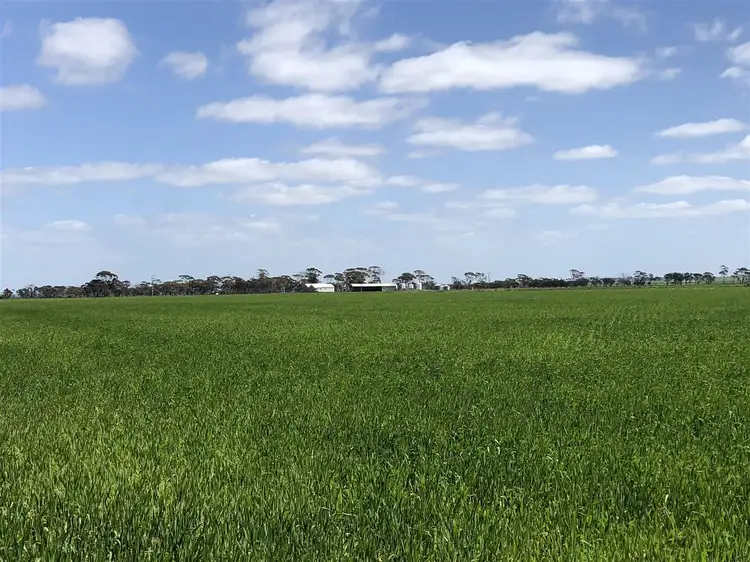 Main view of Homely rural property listing, 2585 Soldiers Road, Narembeen WA 6369
