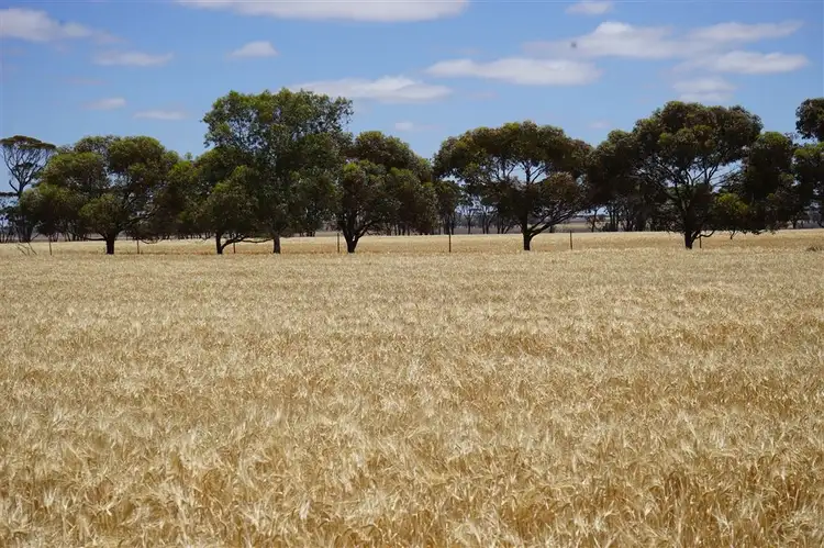 Fourth view of Homely rural property listing, 2585 Soldiers Road, Narembeen WA 6369
