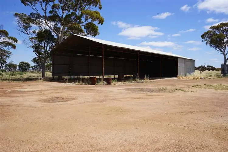 Sixth view of Homely rural property listing, 2585 Soldiers Road, Narembeen WA 6369