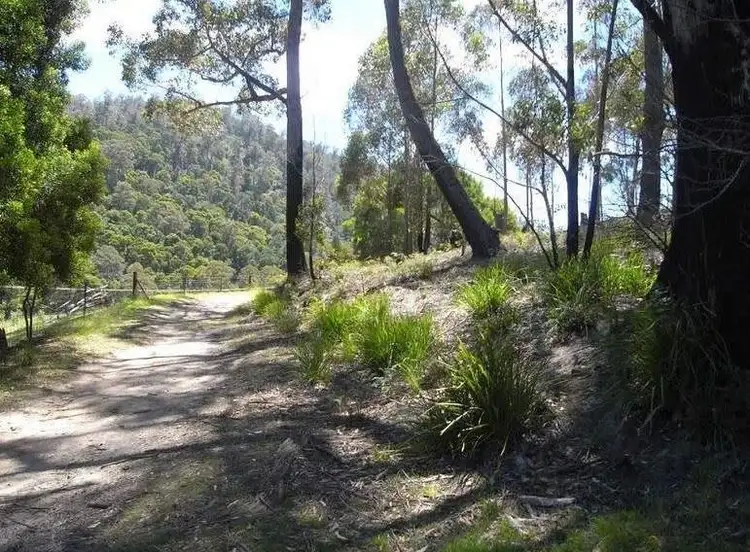 Lot 2 Nicklasons Road, Pyengana TAS 7216