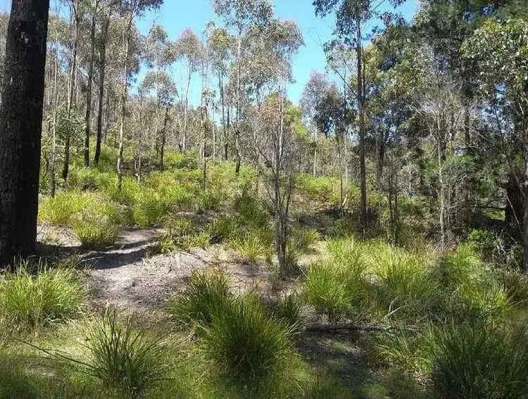 Third view of Homely land listing, Lot 2 Nicklasons Road, Pyengana TAS 7216