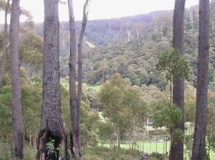 Fourth view of Homely land listing, Lot 2 Nicklasons Road, Pyengana TAS 7216