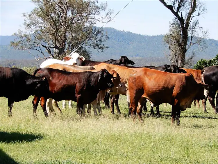 Third view of Homely rural property listing, Address available on request