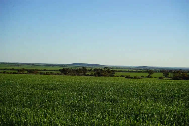 Second view of Homely rural property listing, Lot 14226 Le Vaux Rd, Nungarin WA 6490