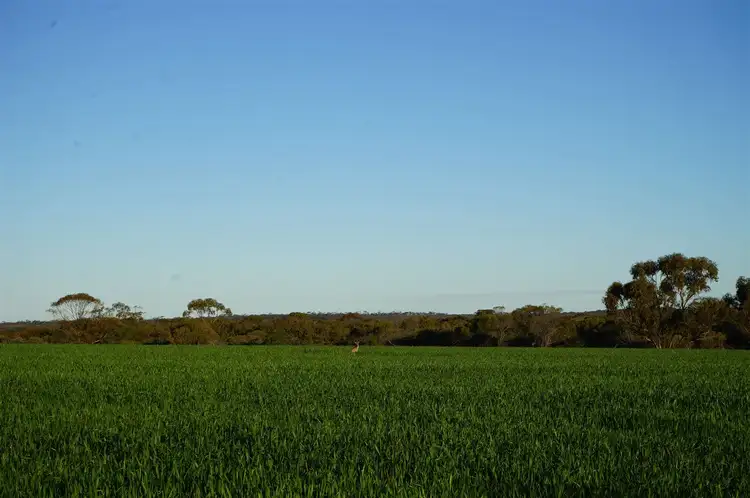 Third view of Homely rural property listing, Lot 14226 Le Vaux Rd, Nungarin WA 6490