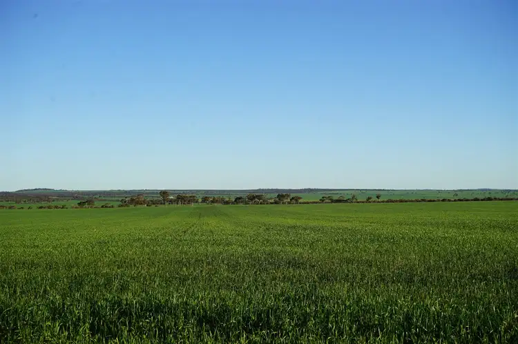 Fourth view of Homely rural property listing, Lot 14226 Le Vaux Rd, Nungarin WA 6490