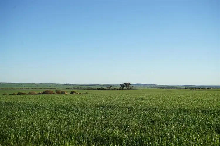 Fifth view of Homely rural property listing, Lot 14226 Le Vaux Rd, Nungarin WA 6490