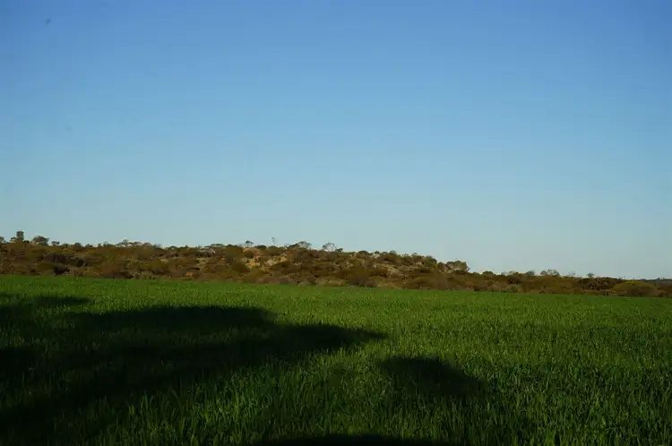 Seventh view of Homely rural property listing, Lot 14226 Le Vaux Rd, Nungarin WA 6490