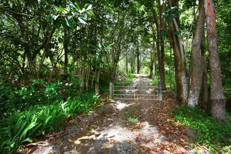 Fourth view of Homely house listing, 1001 Gold Coast Springbrook Road, Mudgeeraba QLD 4213