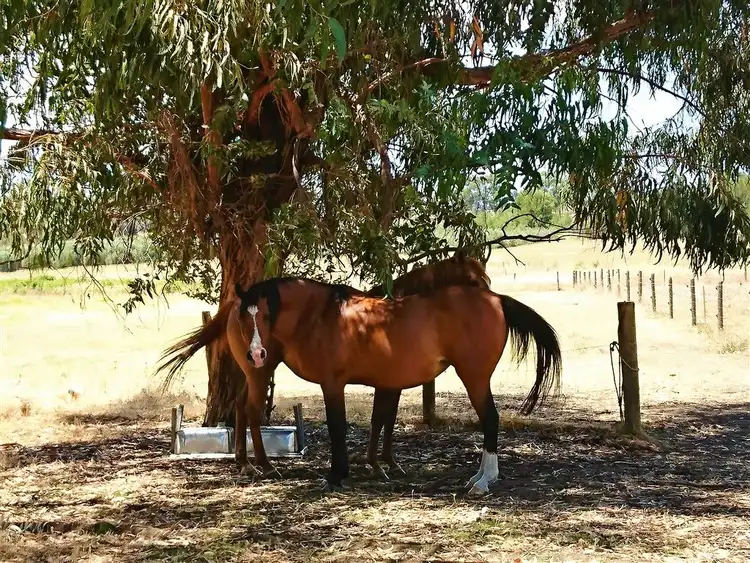 Second view of Homely land listing, Lot 104 Cheriton Road, Gingin WA 6503