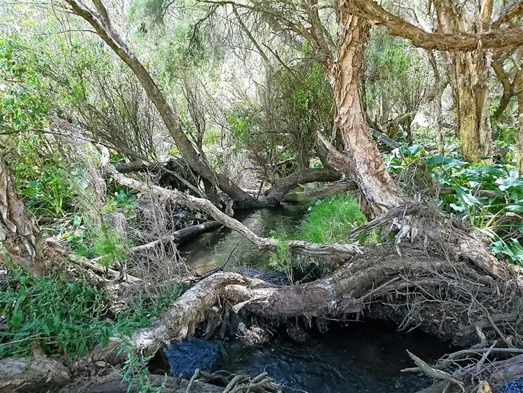 Sixth view of Homely land listing, Lot 104 Cheriton Road, Gingin WA 6503