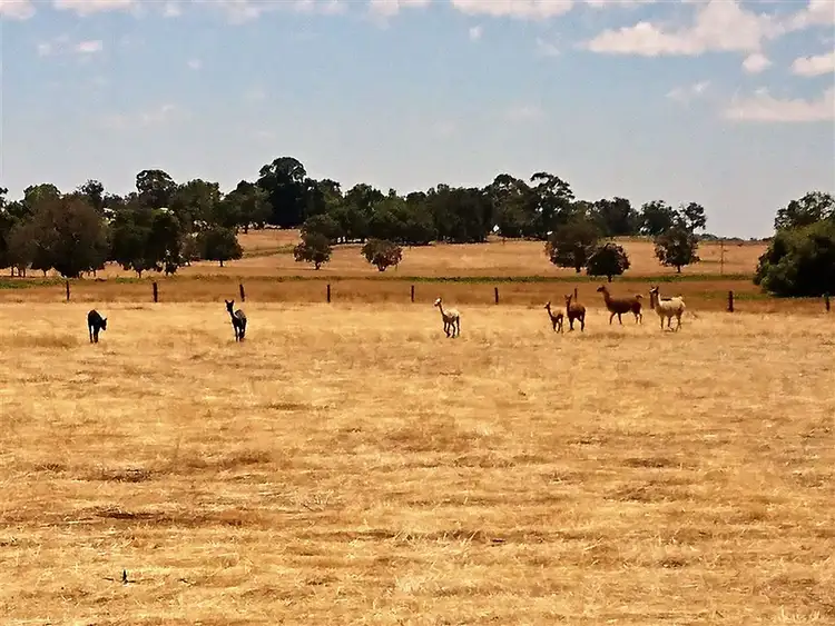 Seventh view of Homely land listing, Lot 104 Cheriton Road, Gingin WA 6503