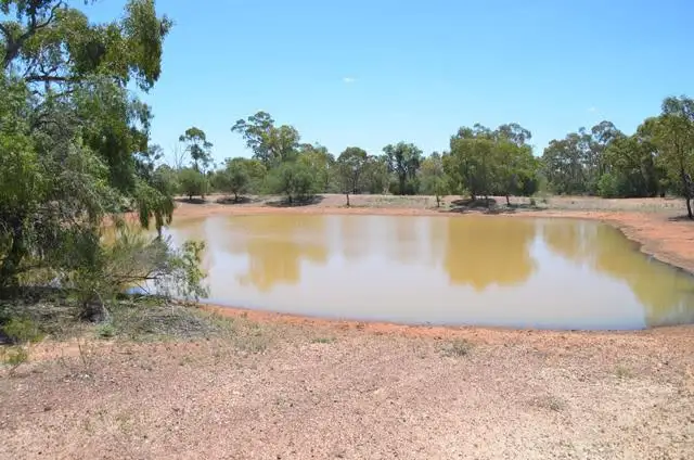 Third view of Homely rural property listing, * Back Booroomugga, Cobar NSW 2835
