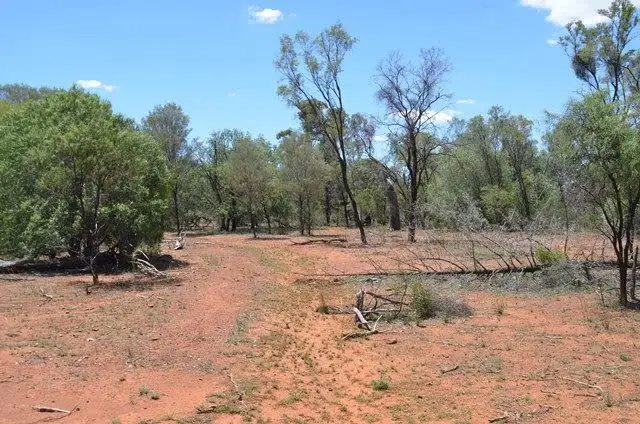 Fourth view of Homely rural property listing, * Back Booroomugga, Cobar NSW 2835