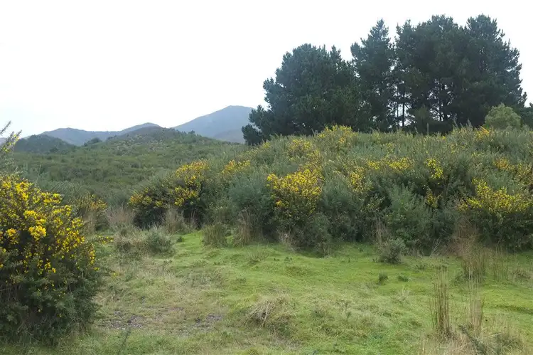Fourth view of Homely land listing, Lot 1 Zeehan Highway, Zeehan TAS 7469
