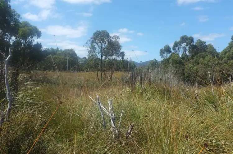 Fifth view of Homely land listing, Lot 4 Zeehan Highway, Zeehan TAS 7469