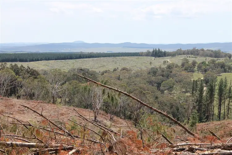 Fourth view of Homely rural property listing, 4 off South Forest Way, Kindervale via, Braidwood NSW 2622