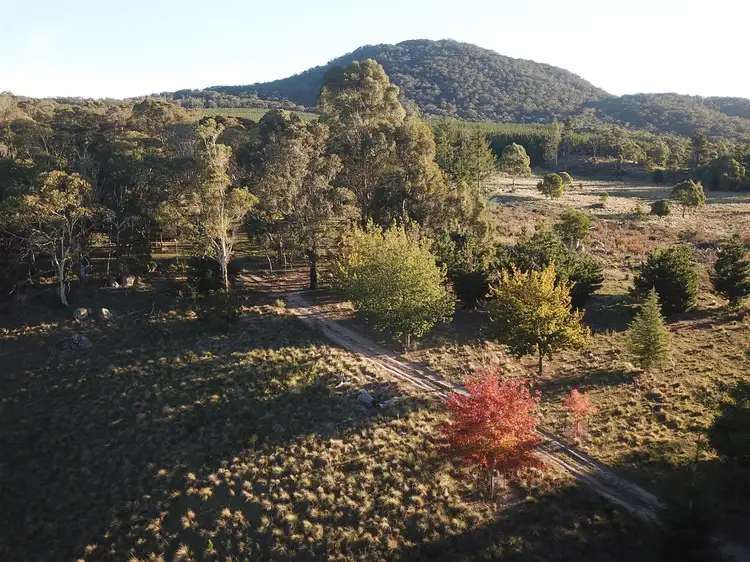 Seventh view of Homely rural property listing, 4 off South Forest Way, Kindervale via, Braidwood NSW 2622