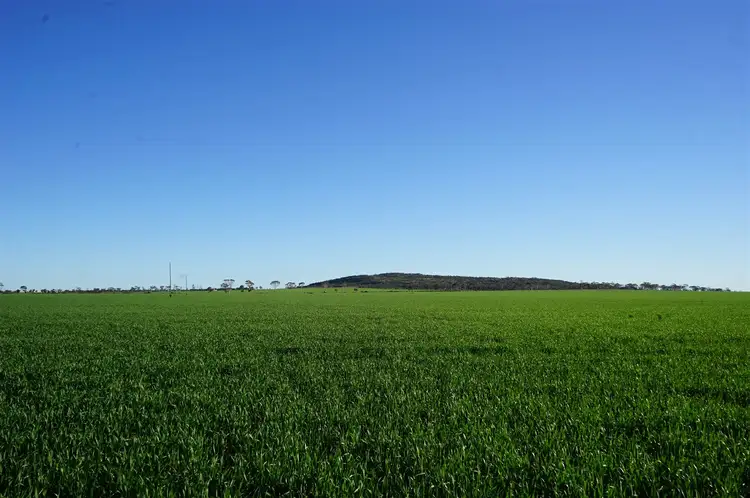 Main view of Homely rural property listing, 1020 Danberrin Road, Nungarin WA 6490