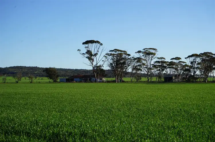 Second view of Homely rural property listing, 1020 Danberrin Road, Nungarin WA 6490