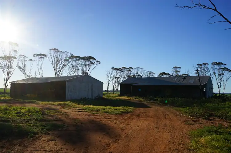 Third view of Homely rural property listing, 1020 Danberrin Road, Nungarin WA 6490