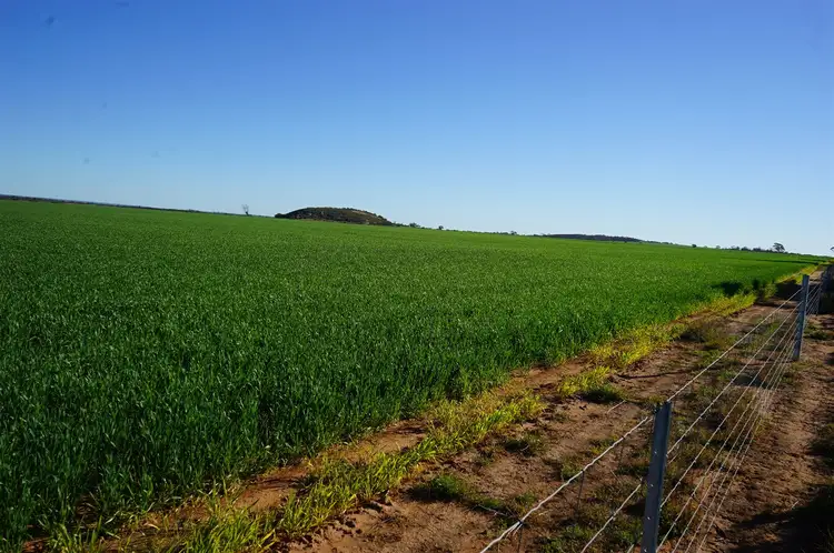 Fourth view of Homely rural property listing, 1020 Danberrin Road, Nungarin WA 6490