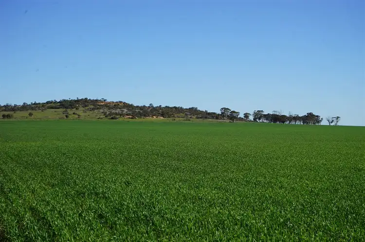 Sixth view of Homely rural property listing, 1020 Danberrin Road, Nungarin WA 6490