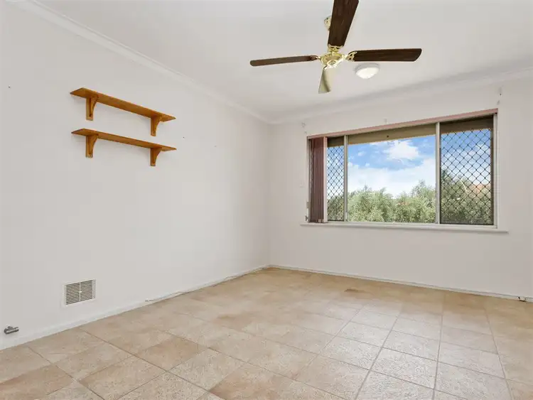 Fifth view of Homely house listing, 1A Millan Place, Hamilton Hill WA 6163