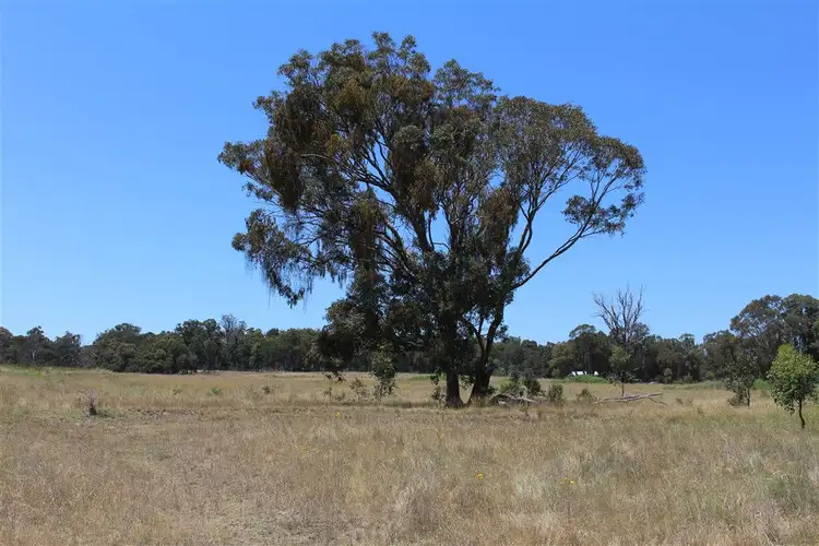 Second view of Homely rural property listing, 1301 Bundarra Road, Invergowrie NSW 2350