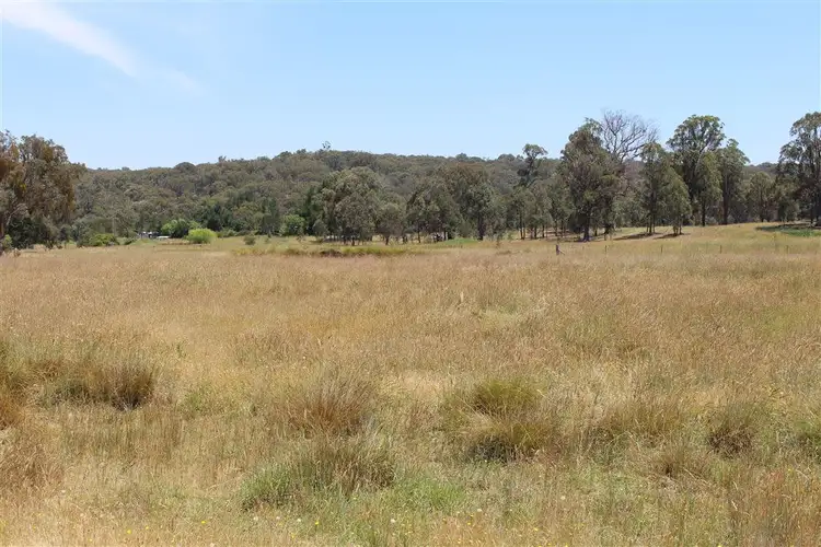 Fifth view of Homely rural property listing, 1301 Bundarra Road, Invergowrie NSW 2350