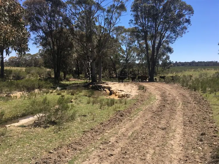Fifth view of Homely rural property listing, Lot 14/703 Bonds Road Hargarves, Mudgee NSW 2850