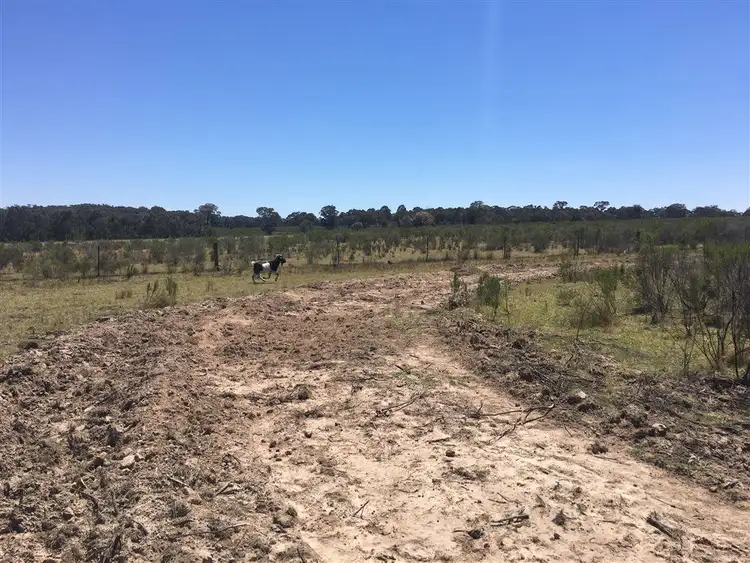 Seventh view of Homely rural property listing, Lot 14/703 Bonds Road Hargarves, Mudgee NSW 2850