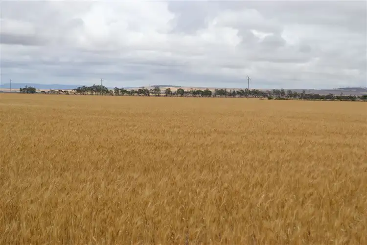 Lot 1 Tiller Road, Balaklava SA 5461