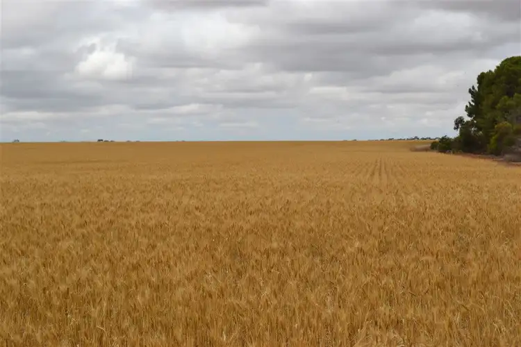 Fifth view of Homely rural property listing, Lot 1 Tiller Road, Balaklava SA 5461