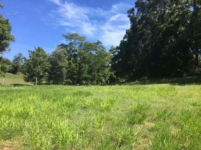 Main view of Homely land listing, 749 Diddillibah Road, Diddillibah QLD 4559