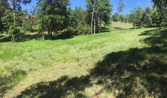 Second view of Homely land listing, 749 Diddillibah Road, Diddillibah QLD 4559