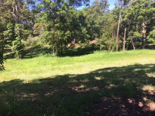 Fourth view of Homely land listing, 749 Diddillibah Road, Diddillibah QLD 4559