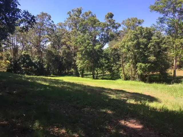 Fifth view of Homely land listing, 749 Diddillibah Road, Diddillibah QLD 4559