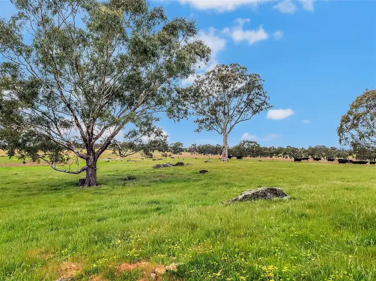 1896 Torrens Valley Road